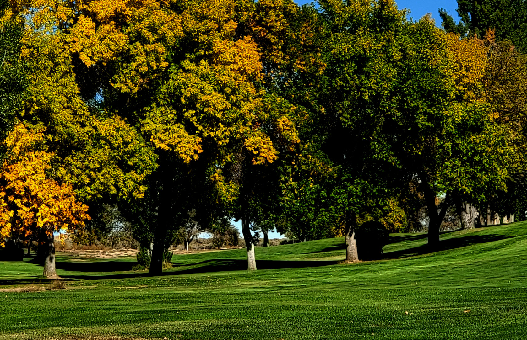 Golf & RV Resort in Washington | Sage Hills Golf Club